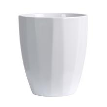 62296 OBAL ALASKA WEISS 639/14 - Obal orchidej | FLORASYSTEM