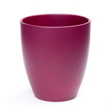 62518 OBAL ORCH.BURGUNDY 620/15 - FLORASYSTEM