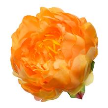 HLAVA PIVOŇKA ORANŽOVÁ P:10CM BAL:12KS - FLORASYSTEM