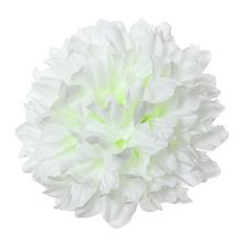 HLAVA CHRYZANTÉMA BIELA 15CM BAL:12KS - Chryzantéma, jiřina | FLORASYSTEM