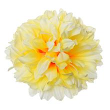 HLAVA CHRYZA. KRÉM S ORANŽ STREDOM V:8CM PRIEM:13CM BAL:12KS - Chryzantéma, jiřina | FLORASYSTEM
