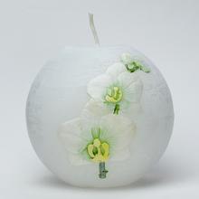 ORCHID. KOULE 100 BÍLÁ-OLIVA - Květiny | FLORASYSTEM