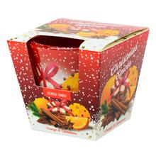 VOŇ.V SKLE CHRIST.APPLE-CYN.115GR/SAS9018,9019/ - FLORASYSTEM