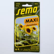 SLUNEČNICE ROČNÍ KONG F1 1,1g - SEMO | FLORASYSTEM