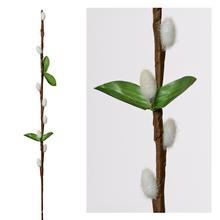 25FLK0713 kočičky CREAM KS 40cm - FLORASYSTEM