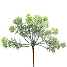 ZÁPICH ZELEŇ 16CM - Zeleň vánoční | FLORASYSTEM