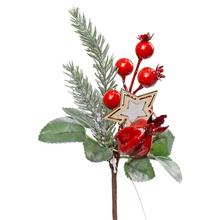 ZÁPICH ŠÍPKY HVIEZDA ČERV. - Bobule červené | FLORASYSTEM