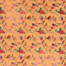 AKCIA! FÓLIA BIRD BOBINE 40MY 0,80X40MT bird arancio - Fólie | FLORASYSTEM