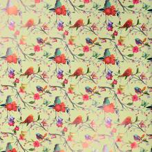 FÓLIA BIRD BOBINE  40MY 0,80X40MT bird verde - FLORASYSTEM