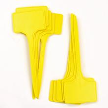 MENOVKA ZAPICH. S/10 - Ostatní | FLORASYSTEM