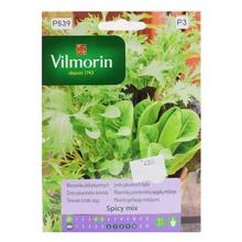 SMĚS pikantních KOŘENÍ SPICY MIX - Na klíčky, micro greens | FLORASYSTEM