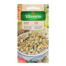 Čočka SEMENA NA KLÍČKY 20G - Na klíčky, micro greens | FLORASYSTEM
