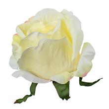 HLAVA RUŽA KRÉMOVA RUŽ. KONCE P:8CM BAL:12KS - Růže | FLORASYSTEM