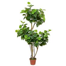 25FLK0807 STROM HIBISCUS 173cm - Umělé stromy | FLORASYSTEM