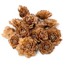 CEDAR ROSE PACZ 200G - Celoročné | FLORASYSTEM