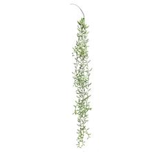 ŤAHAČKA SENECIO SV.ZELENÝ 97CM - Ťahačka, girlanda zeleň | FLORASYSTEM