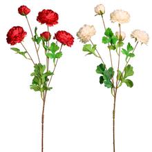 AKCIA! KS RANNUNCULUS 2F 80cm  - Růže kusovky | FLORASYSTEM