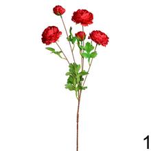 Umelé kvety Rannunculus v červenej a bielej farbe, 80 cm.