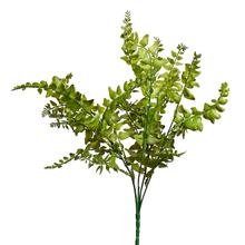 ZÁPICH PAPRAĎ 37CM - List | FLORASYSTEM