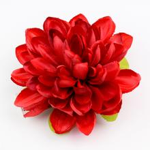 HLAVA DHALIA ČERVENÁ P:11 BAL:24KS - FLORASYSTEM