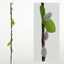 KS BAHNIATKA ŠEDÁ F. 40CM - FLORASYSTEM