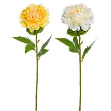 KS PIVÓNIA 2F 60cm - FLORASYSTEM