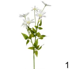 Umelé kvety clematis v bielej a modrej farbe.