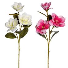 KS MAGNÓLIA 2F 80CM - Magnólia | FLORASYSTEM