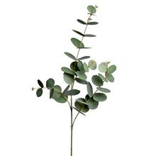 KS EUCALYPTUS 84CM - List | FLORASYSTEM