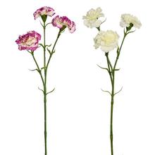 KS KARAFIÁT mix/2f 60cm  - FLORASYSTEM