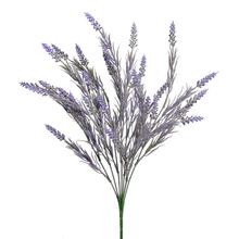 ZÁPICH LEVANDUĽA 44CM - Levandule | FLORASYSTEM