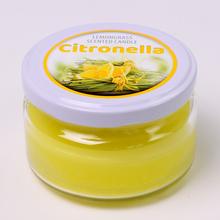 ANTIMOSKYTO AM 250 85/60 110gr - FLORASYSTEM