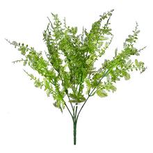 ZELEŇ kapradin ZELENÁ 40cm - List | FLORASYSTEM