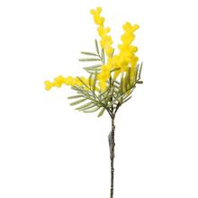 KS ACACIA 36cm ŽLUTÁ - Zápich bílý / žlutý | FLORASYSTEM