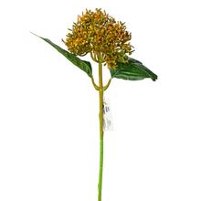 KS HORTENZIA ORANŽOVÁ 39CM - Hortenzie | FLORASYSTEM