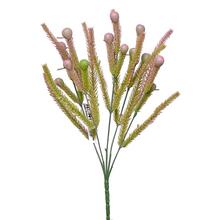 SUPER CENA! ZÁPICH BRUNIA ZELENOFIALOVÁ 34CM - Bobule | FLORASYSTEM