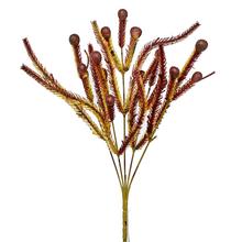 SUPER CENA! ZÁPICH BRUNIA JESENNÁ 34CM - FLORASYSTEM