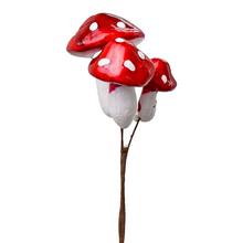 muchomůrky červené - FLORASYSTEM