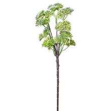 ZÁPICH SEDUM ELEGANS BIELE 35CM - Zápich bílý / žlutý | FLORASYSTEM