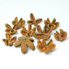 I460 Pacz WILD ORANGE 1/10 - FLORASYSTEM
