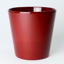 OBAL DALLAS SHINY BORDEAUX 19CM - FLORASYSTEM