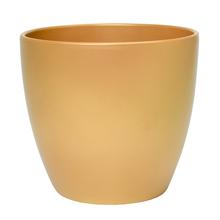 31335 OBAL GOLD 920/19 - FLORASYSTEM