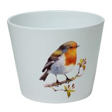 65581 OBAL RED BIRD 778/12 - Obal vzorovaný | FLORASYSTEM