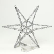 HVIEZDA 20LED 30CM STRIEBOR - Dekorační | FLORASYSTEM