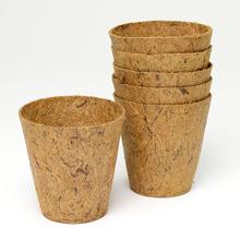 AKCIA!!!Sada kokos.sadbov 275ml/6ks 8x8cm  - Sadbovače | FLORASYSTEM