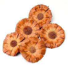SUPER CUT 6/7 JASNA LUZ S/5 R059SLPACZ-5  - Celoročné | FLORASYSTEM