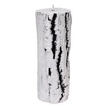 PEŇ VAL.STREDNÝ BREZA v20cm - FLORASYSTEM