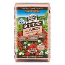 Hoštický substrát na jahody 40l /51/ - Substráty | FLORASYSTEM