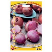 Šalotka-Red Sun - Cibuloviny | FLORASYSTEM