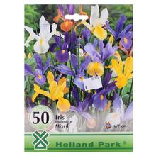 Large pack - IRIS MIXED - Cibuloviny | FLORASYSTEM